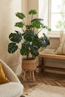 Artificial Plants And Greenery