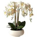 Artificial Phalaenopsis Orchid Arrangement in Pot White Orchid Indoor Decoration