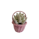Easter Artificial Succulent in Pink Basket – Spring Table Decor & Easter Home Decoration