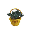 Artificial Succulent Easter Basket Decor – Spring Table Centerpiece for Home Decoration
