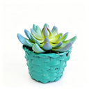 Easter Blue-Green Basket Succulent - Faux Pastel Spring Decor & Cute Desk Plant