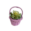 Artificial Succulent in Lavender Easter Basket – Spring Table Decor & Easter Decoration