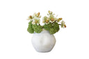 Wholesale Artificial Orchid and Hydrangea – Phalaenopsis & Pink Hydrangea in White Ceramic Planter