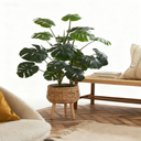 Artificial Monstera Plant in Pot