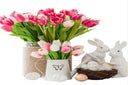 Tulip Easter Potted Plants
